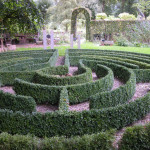 Der Kreativität freien Lauf lassen - unser Buchbaum-Labyrinth